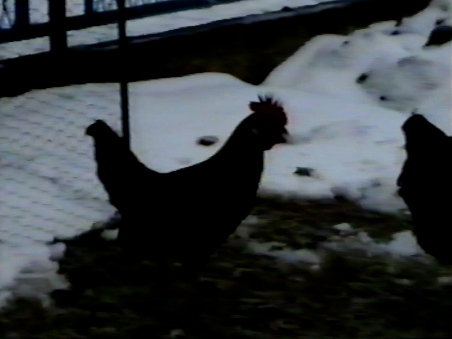 Vylepšení VHS záznamu Remastering videa